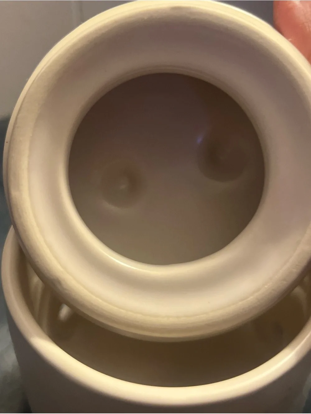 Rae Dunn 'GARLIC' Ceramic Cellar Canister Jar with ceramic lid